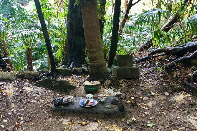 Iriomote Culture Discovery. Indigenous culture on Iriomote Island - Stop 2: Two traditional houses, including a historical monument site