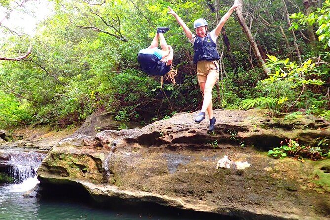 Iriomote Island 1 Day Canyoning & Yubu Island Sightseeing - Key highlights you’ll feel on this tour