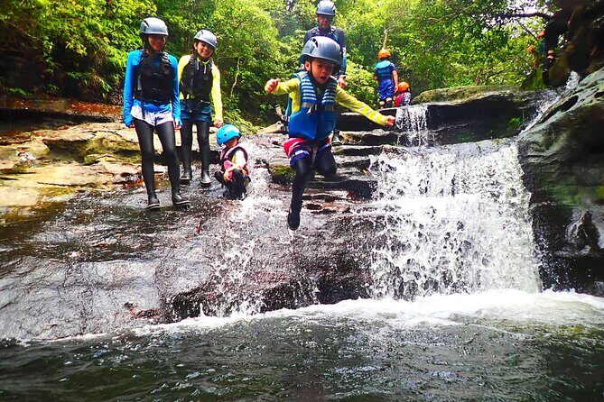 Iriomote Island 1 Day Canyoning & Yubu Island Sightseeing - Who should book this tour on Iriomote, and who should skip it