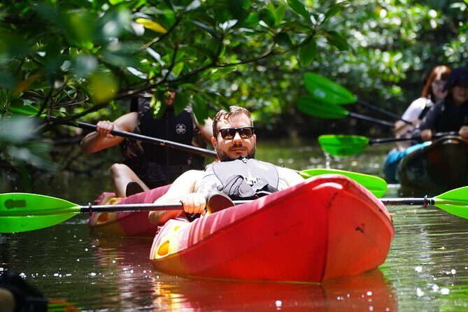 Iriomote Island 1-Day Snorkeling & Mangrove SUP or Canoe - Key highlights you’ll care about