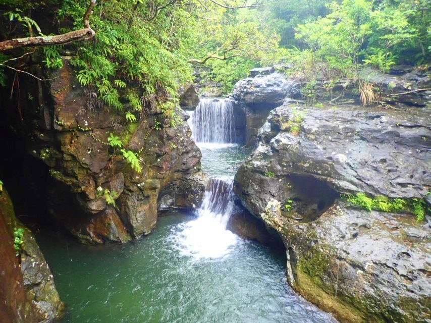 Iriomote Island: Guided 2-Hour Canyoning Tour - Rain or shine: how weather affects the day