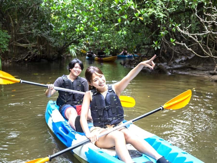 Iriomote island: Mangrove River SUP or Canoe Cruising Tour - Key things to know before you go