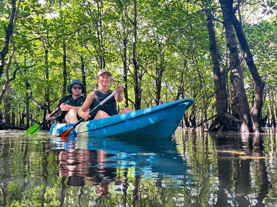 Iriomote island: Mangrove River SUP or Canoe Cruising Tour - Why Iriomote’s mangroves are a trip you’ll remember