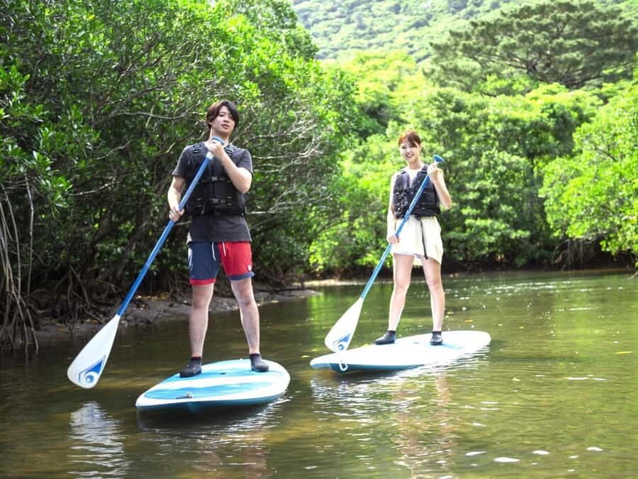 Iriomote island: Mangrove River SUP or Canoe Cruising Tour - Uehara Port logistics and why the tide matters more than you think