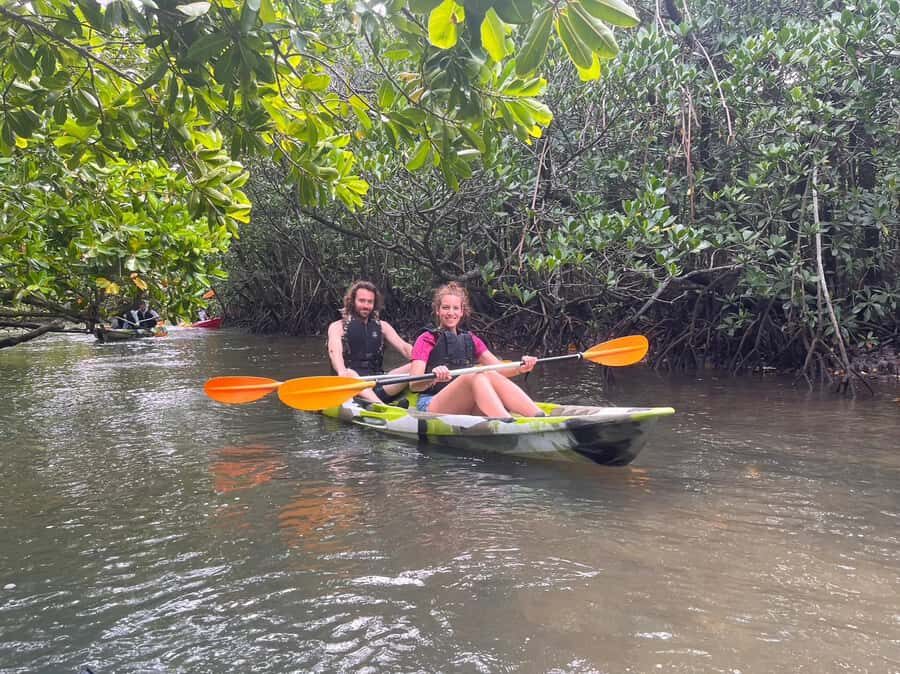 Iriomote island: Mangrove River SUP or Canoe Cruising Tour - Guides, language, and what past experience says about the vibe