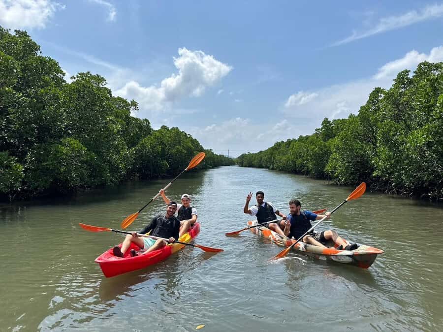 Iriomote island: Mangrove River SUP or Canoe Cruising Tour - Who should book (and who should think twice)