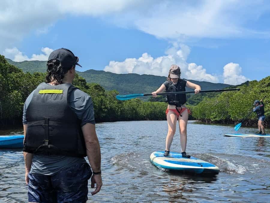 Iriomote island: Mangrove River SUP or Canoe Cruising Tour - Paddle and low-tide walk: what your 150 minutes really feel like