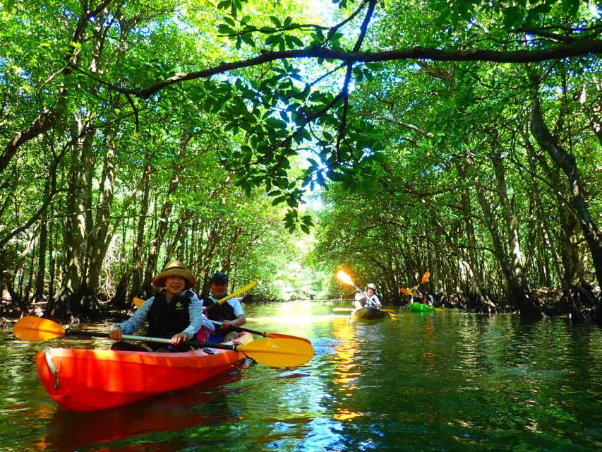 Iriomote Island: SUP or Canoeing and Canyoning Tour - Key Things to Know Before You Go