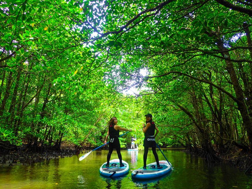 Iriomote Island: SUP or Canoeing and Canyoning Tour - Logistics That Actually Matter: Timing, Meetings, and Where You Start