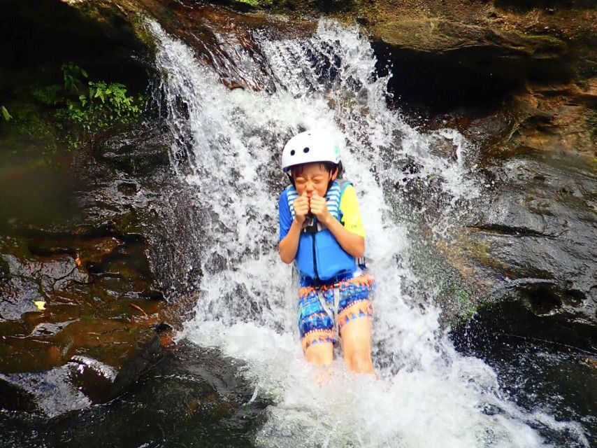 Iriomote Island: SUP or Canoeing and Canyoning Tour - Ōmija River Canyoning: Jumps, Slides, and Cold-Water Reality