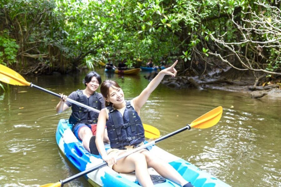 Iriomote Island: SUP or Canoeing and Canyoning Tour - Practical Packing List for a Wet Day