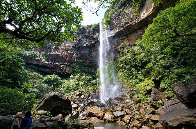 Iriomote’s Adventure: Pinaisara Falls Canoe and Trekking Tour - Price and value: what you’re paying for at $110.76 per person