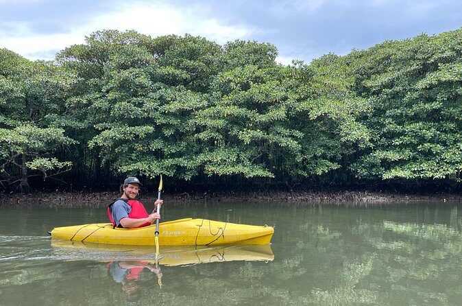 Iriomote’s Adventure: Pinaisara Falls Canoe and Trekking Tour - Weather reality check: plan for a day that depends on conditions