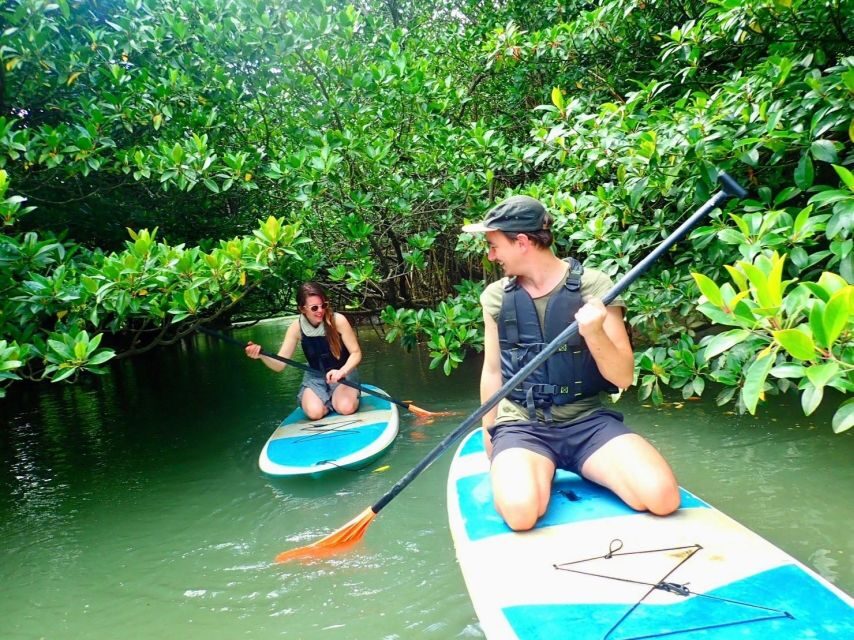 Ishigaki Island: 2-Hour Miyara River SUP or Canoeing Tour - Should you book Miyara River SUP or canoe with PiPi?