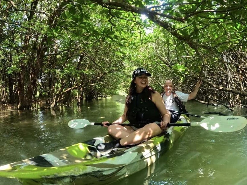 Ishigaki Island: 2-Hour Miyara River SUP or Canoeing Tour - Miyara River mangroves: a calm ride through a national-monument forest