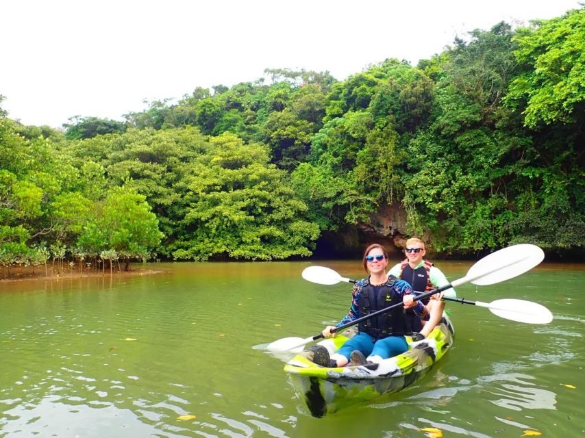 Ishigaki Island: 2-Hour Miyara River SUP or Canoeing Tour - SUP or canoe in 75 minutes: what you’ll actually do on the water
