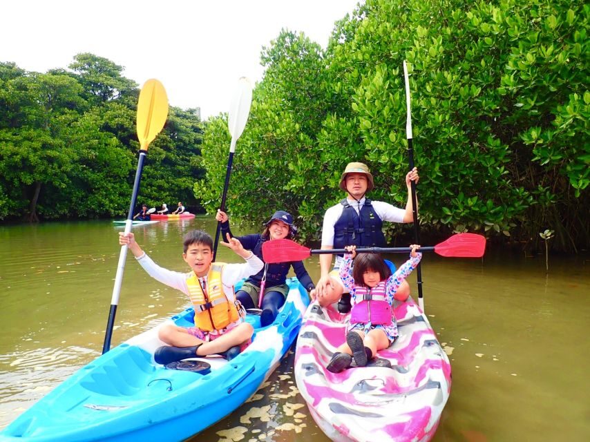 Ishigaki Island: 2-Hour Miyara River SUP or Canoeing Tour - Why mangroves feel different when you’re moving through them