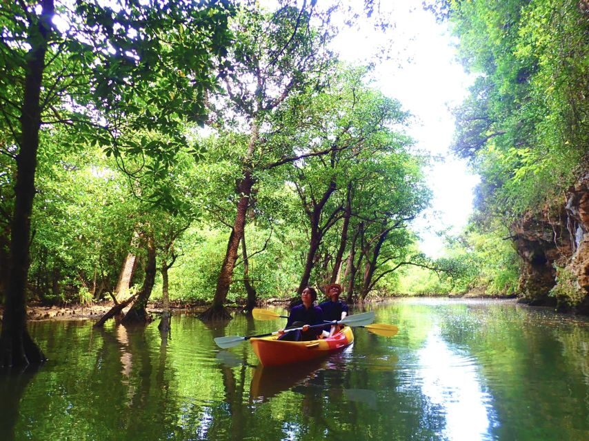 Ishigaki Island: 2-Hour Miyara River SUP or Canoeing Tour - Rain or shine: dressing for Miyara River weather