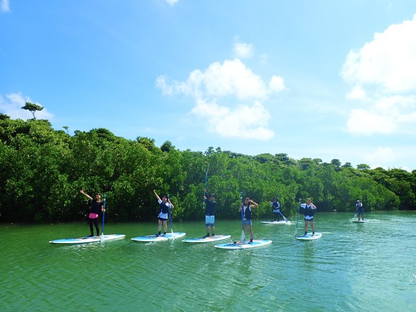 Ishigaki Island: 2-Hour Miyara River SUP or Canoeing Tour - Price and value: why $54 for 2 hours can be a smart pick