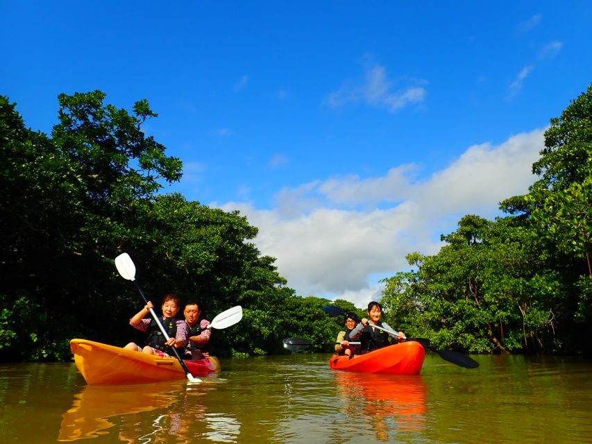 Ishigaki Island: 2-Hour Miyara River SUP or Canoeing Tour - Meeting at Yūgenna Ishigaki Port Remote Island Terminal (and getting picked up)