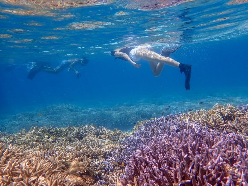 Ishigaki Island: Boat Snorkeling Tour at Phantom Island - Phantom Island only shows up when the tide drops