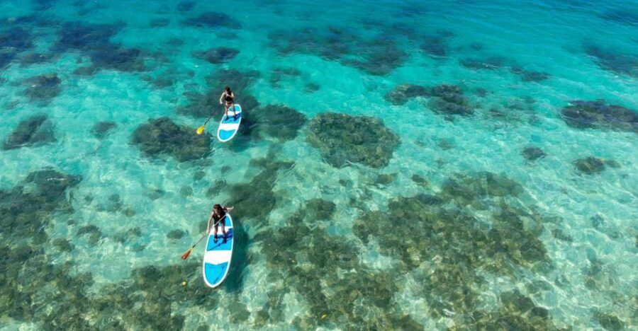 Ishigaki Island: SUP or Kayaking experience at Kabira Bay - From Ishigaki Ferry Terminal to Emerald Water: The Exact Flow