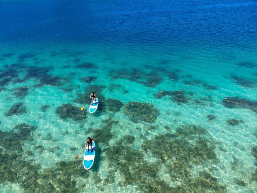 Ishigaki Island: SUP or Kayaking experience at Kabira Bay - SUP vs Kayak: Choose Your Ride (and Your Balance)