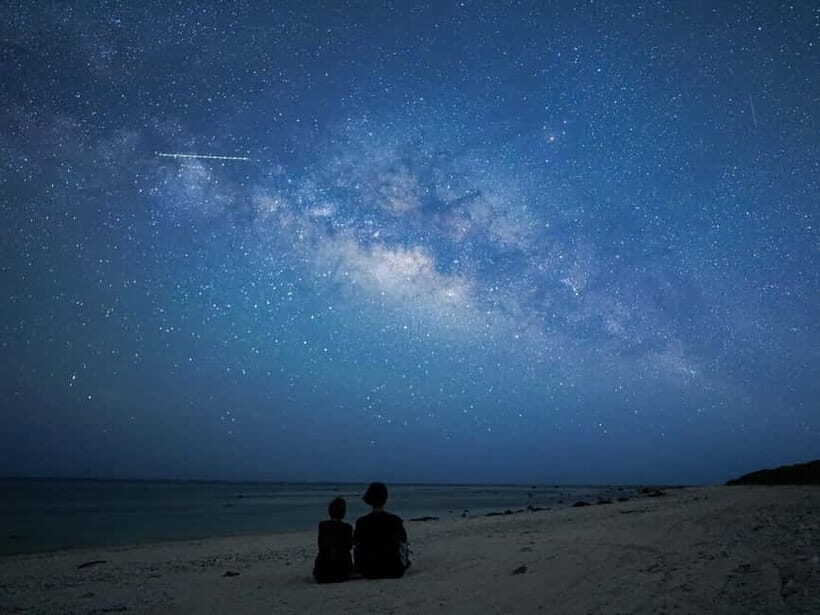 Ishigaki: Jungle Walk and Stargazing Night Tour - Key Points You’ll Care About