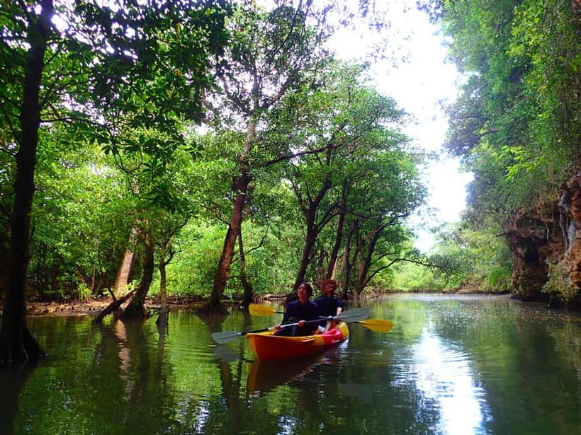Ishigaki: Mangrove SUP or Canoe & Phantom Island Snorkeling - Mangrove SUP and canoeing on Miyara River