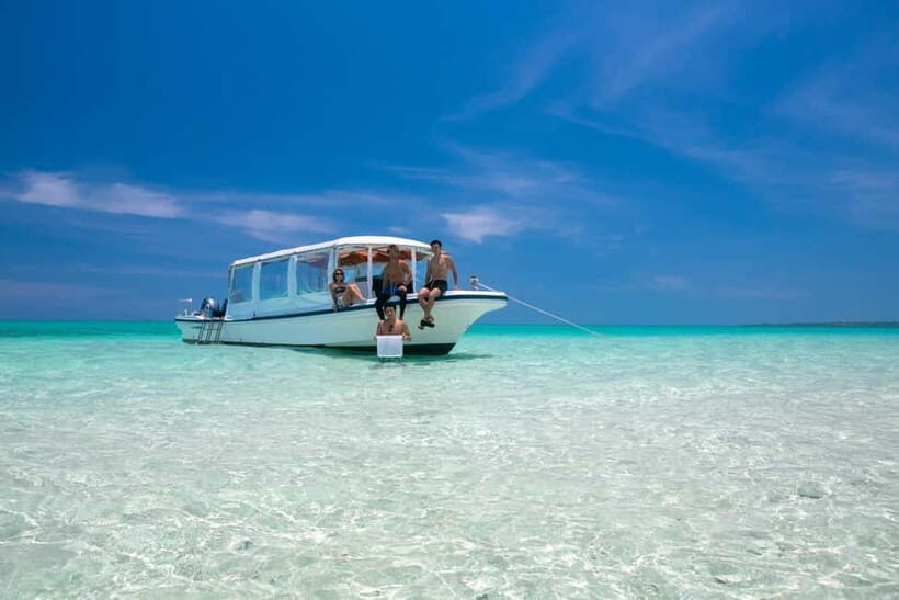 Ishigaki: Mangrove SUP or Canoe & Phantom Island Snorkeling - Phantom Island snorkeling: tide shapes, fish, and coral time