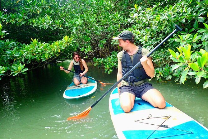 Ishigaki Mangrove SUP or Canoeing and Phantom Island Snorkeling - Miyara River Hirugi Grove: your paddle through mangroves