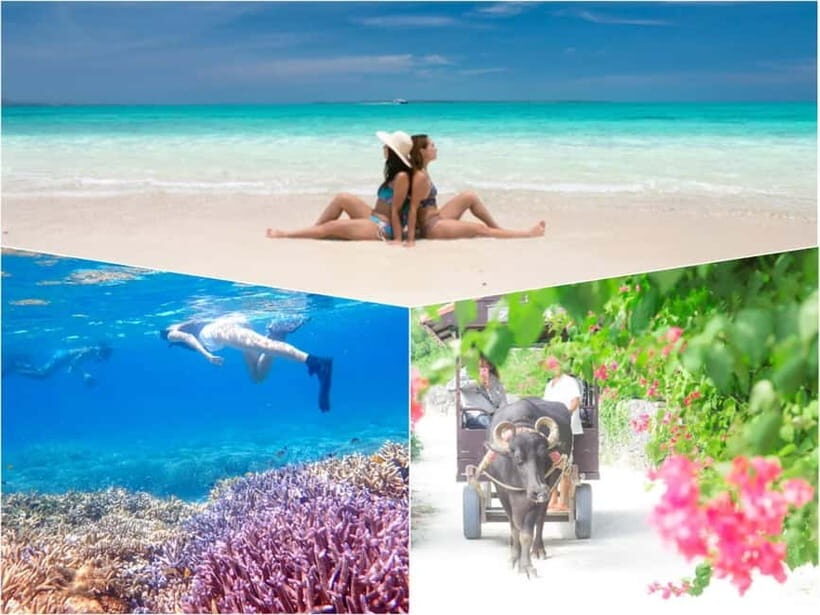Ishigaki: Phantom Island Snorkeling and Taketomi Sightseeing - Hamajima’s Phantom Island: Watching the Tide Rewrite the Map