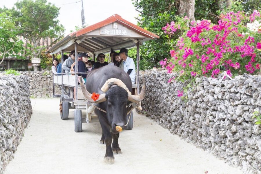 Ishigaki: Phantom Island Snorkeling and Taketomi Sightseeing - Taketomi Island by Ferry: Traditional Streets and Beaches Without a Guide