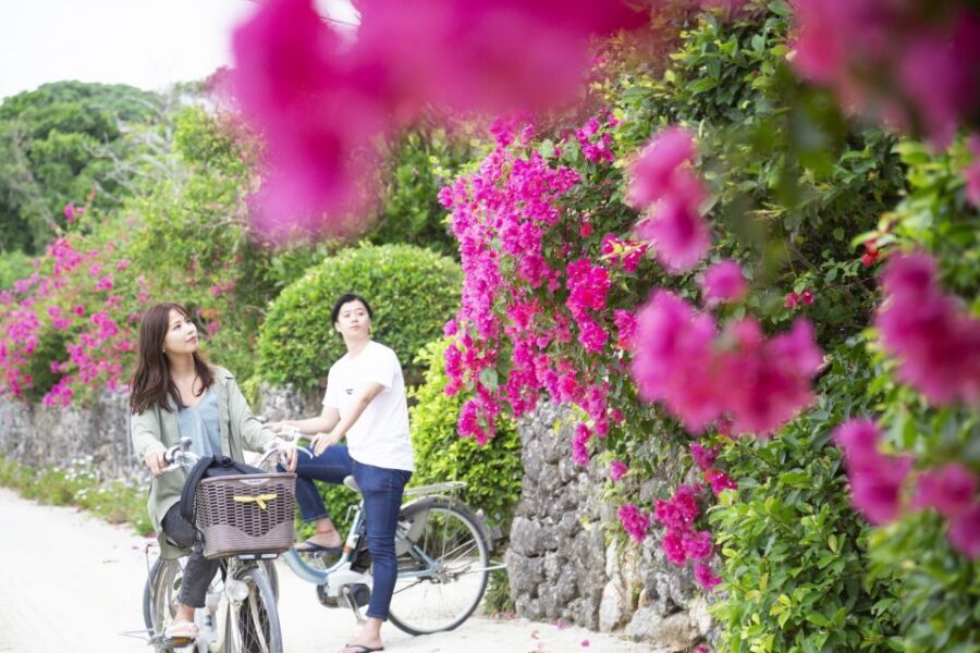 Ishigaki: Phantom Island Snorkeling and Taketomi Sightseeing - What to Bring (So Your Day Stays Easy)