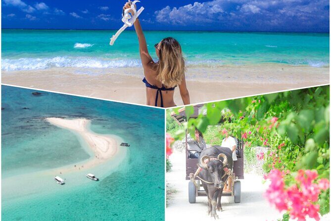 Ishigaki Phantom Island Snorkeling Taketomi Island Sightseeing - Key highlights you’ll feel right away