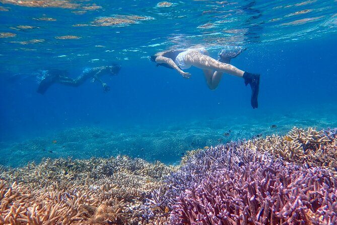 Ishigaki Phantom Island Snorkeling Taketomi Island Sightseeing - Price and value: what $64.37 buys you in real life