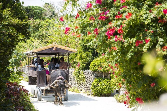 Ishigaki Phantom Island Snorkeling Taketomi Island Sightseeing - Who this tour fits best (and who should think twice)