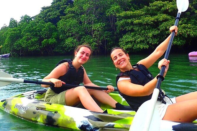 [Ishigaki]Mangrove SUP/Canoe + Blue Cave Snorkeling - Blue Cave snorkeling: what to expect when conditions matter