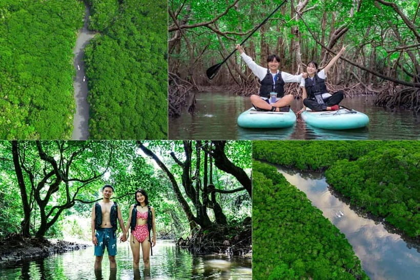 Ishigaki:Mangrove&Sea SUP/Kayak Tour with SLR&Drone footage - Drone time after you get comfortable (and what you should expect)