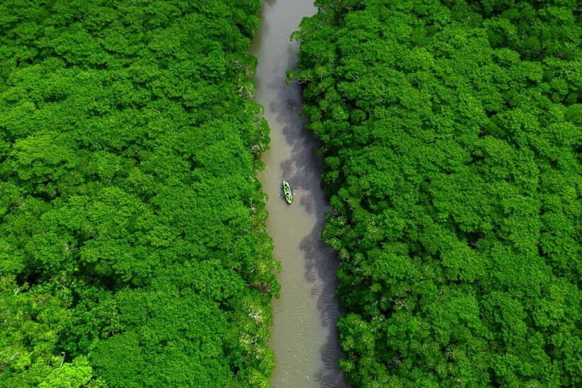 Ishigaki:Mangrove&Sea SUP/Kayak Tour with SLR&Drone footage - Price and value: why $48 can make sense here