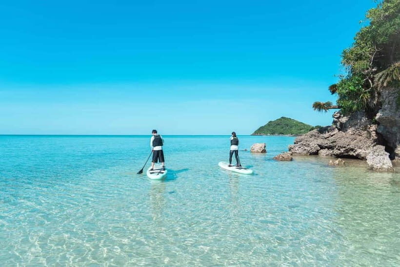 Ishigaki:Mangrove&Sea SUP/Kayak Tour with SLR&Drone footage - Who this tour fits best (age rules included)