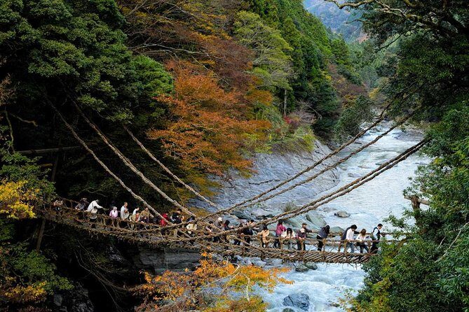 Iya Valley All Must-Sees Private Chauffeur Full-day Tour with a Driver - Iya Kazura Bridge and the Oku-Iya vine bridges: the photo stops that define the day