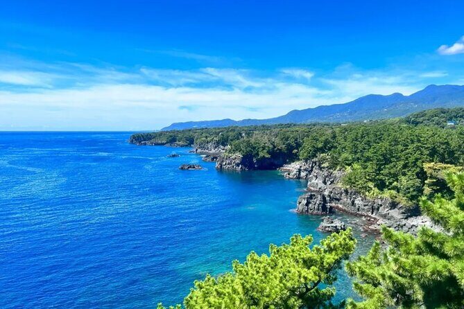 Izu Mount Omuro Day Tour: Atami Beach Line,Ropeway,Jogasaki Coast - Value and Limits: What You’re Really Buying