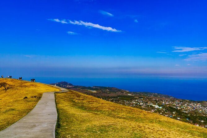 Izu Mount Omuro Day Tour: Atami Beach Line,Ropeway,Jogasaki Coast - Group Tour Dynamics: How Shared Logistics Affect Your Enjoyment