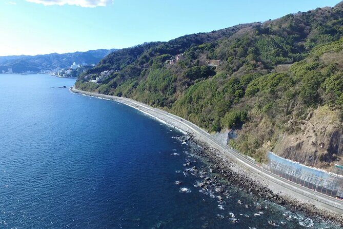 Izu Mount Omuro Day Tour: Atami Beach Line,Ropeway,Jogasaki Coast - 8:00 am Pickup in Shinjuku: How Smooth (or Not) the Day Starts