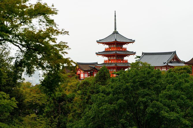 Japan Classic 10 Day - One Life Adventures - Hakone to Takayama: countryside trains, morning markets, and sake tasting