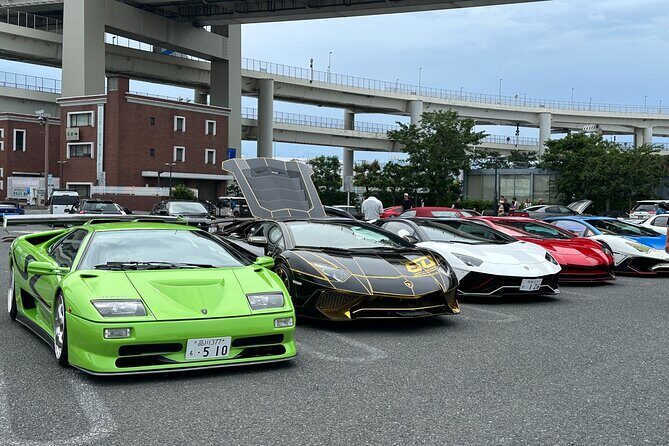 Japanese Car Meet JDM Culture Tour in Daikoku - What Makes This Tour Worth It for Real Car-Culture Fans