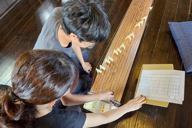 Japanese Traditional Music Experience - Who Should Book This Koto Experience in Odawara?