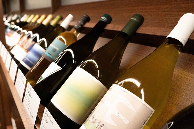 Japanese Wine Omakase in Shibuya – Guided Tasting, Not Sake - Japanese Wine Omakase in Shibuya: What Makes It Worth Your Time