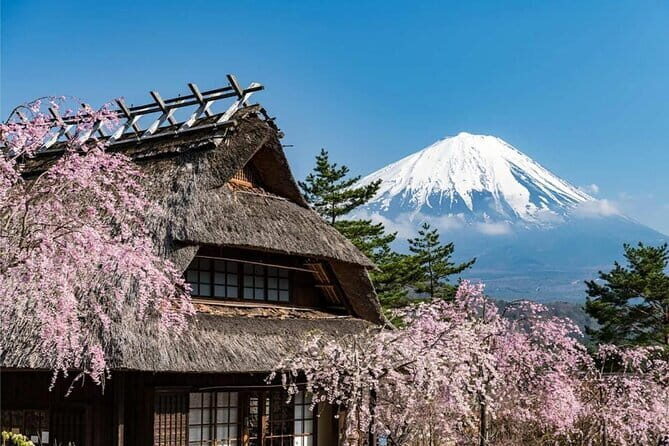 Japan's Best Mount Fuji Tour - The Morning Pickup Rhythm: A Day That Moves (But Not Wildly)